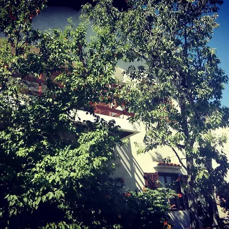 Apartmán Letina *