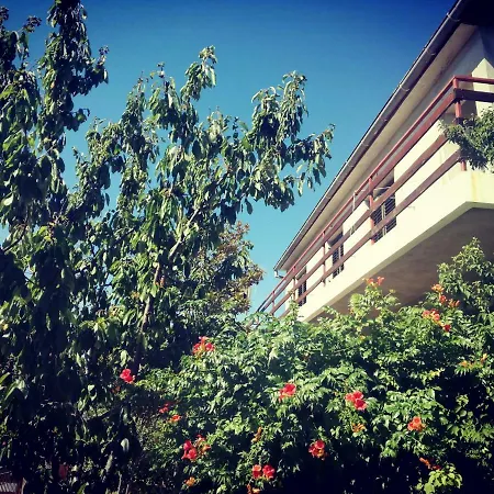 Letina Apartament *