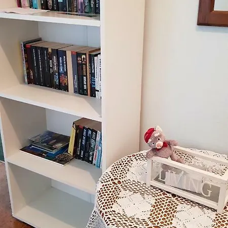 Letina Apartament *