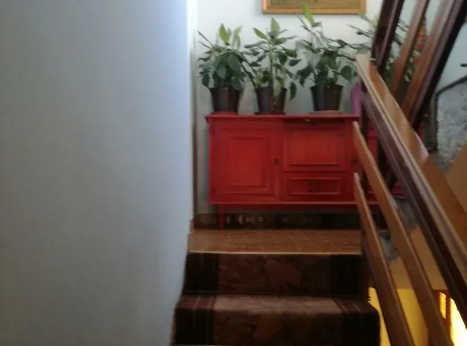 Letina アパート *