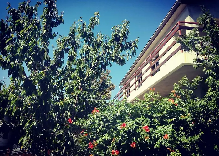 Letina アパート *