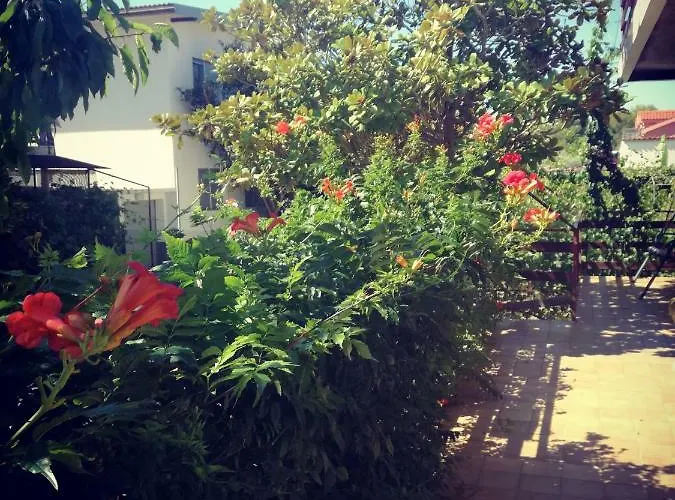 Letina Διαμέρισμα